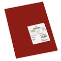 Pappe Iris Granatrot