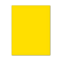 Pappe Iris Gelb 50 x 65 cm