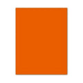 Pappe Iris Orangerot 50 x 65 cm