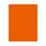Pappe Iris Orangerot 50 x 65 cm