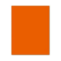 Pappe Iris Orangerot 50 x 65 cm