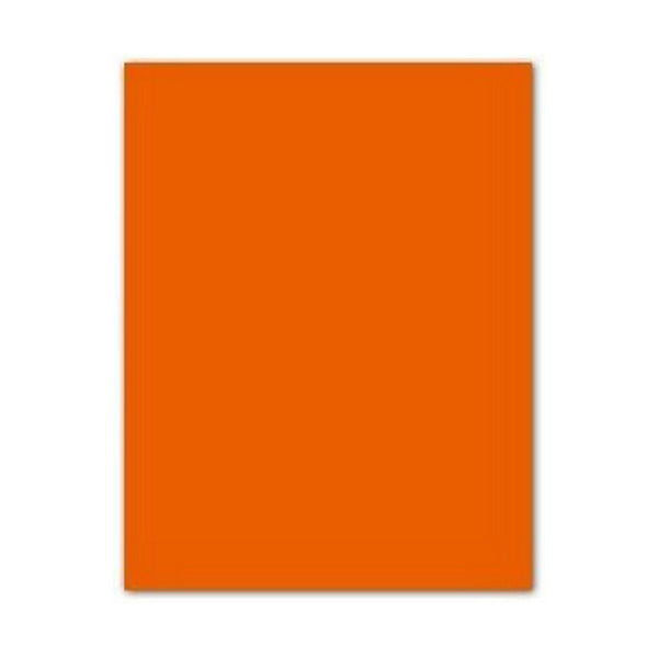 Pappe Iris Orangerot 50 x 65 cm