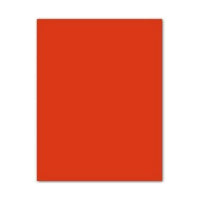 Pappe Iris Tomate 50 x 65 cm