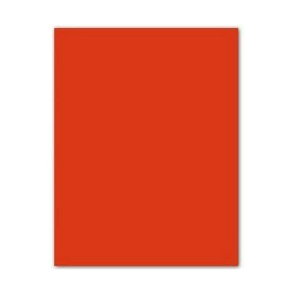 Pappe Iris Tomate 50 x 65 cm