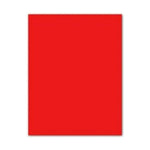 Pappe Iris Rot 50 x 65 cm