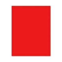 Pappe Iris Rot 50 x 65 cm