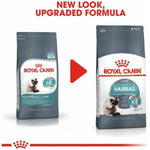 Katzenfutter Royal Canin Erwachsener Huhn Reis Mais Pflanzlich Vögel 10 kg
