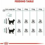 Katzenfutter Royal Canin Erwachsener Huhn Reise Mais Pflanzlich Vögel 10 kg