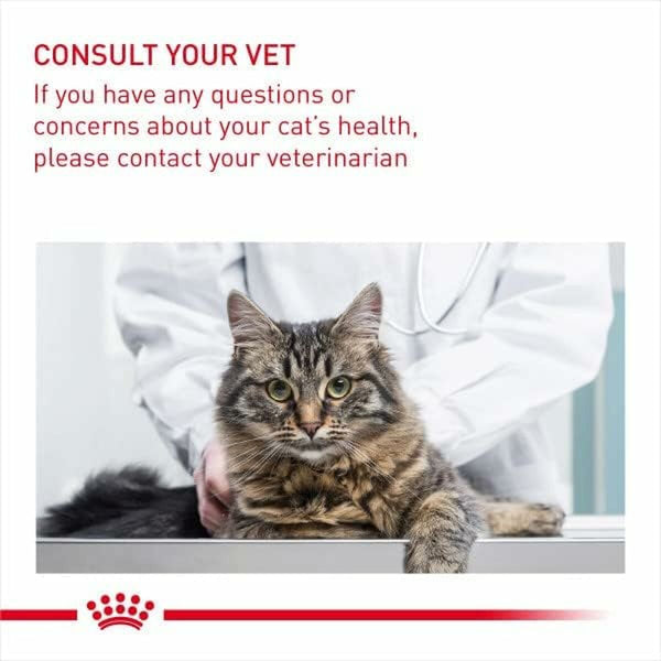 Katzenfutter Royal Canin Erwachsener Huhn Reise Mais Pflanzlich Vögel 10 kg