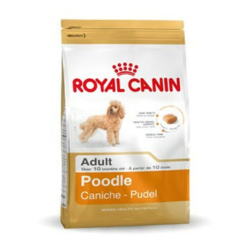 Futter Royal Canin Poodle Adult Erwachsener Huhn 1,5 Kg