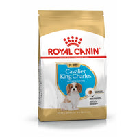 Futter Royal Canin Cavalier King Charles Spaniel Puppy Welpe/Junior Vögel 1,5 Kg