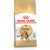 Katzenfutter Royal Canin Bengal Adult Erwachsener Pflanzlich Vögel 10 kg
