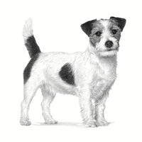 Futter Royal Canin Anallergenic Small VHN Erwachsener Fleisch Vögel 1,5 Kg
