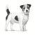 Futter Royal Canin Anallergenic Small VHN Erwachsener Fleisch Vögel 1,5 Kg