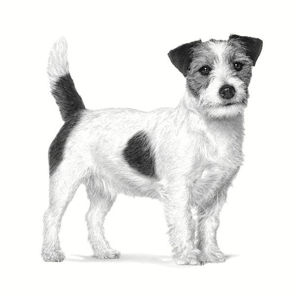 Futter Royal Canin Anallergenic Small VHN Erwachsener Fleisch Vögel 1,5 Kg