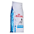 Hundefutter Royal Canin Hypoallergenic Erwachsener Vögel 2 Kg