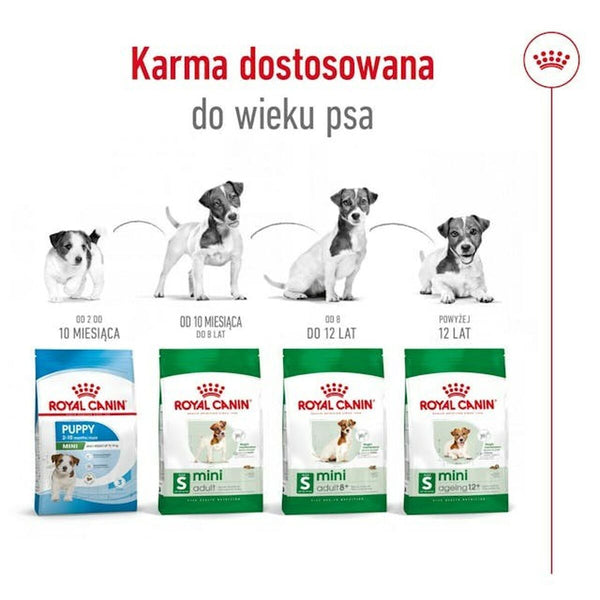 Futter Royal Canin Adult Mini S Vögel 4 Kg