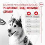 Hundesnack Royal Canin Supplements Dog Joint & Ageing Adult 240 g
