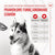 Hundesnack Royal Canin Supplements Dog Joint & Ageing Adult 240 g