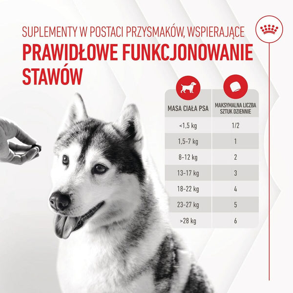 Hundesnack Royal Canin Supplements Dog Joint & Ageing Adult 240 g