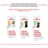 Hundesnack Royal Canin Supplements Dog Joint & Ageing Adult 240 g