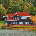 Grundierung Bondex Grau Satin 5 L