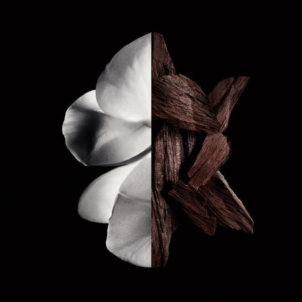 Damenparfüm Givenchy Gentleman Boisée 200 ml