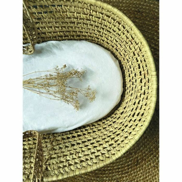 Wiegenschützer Candide Weiß