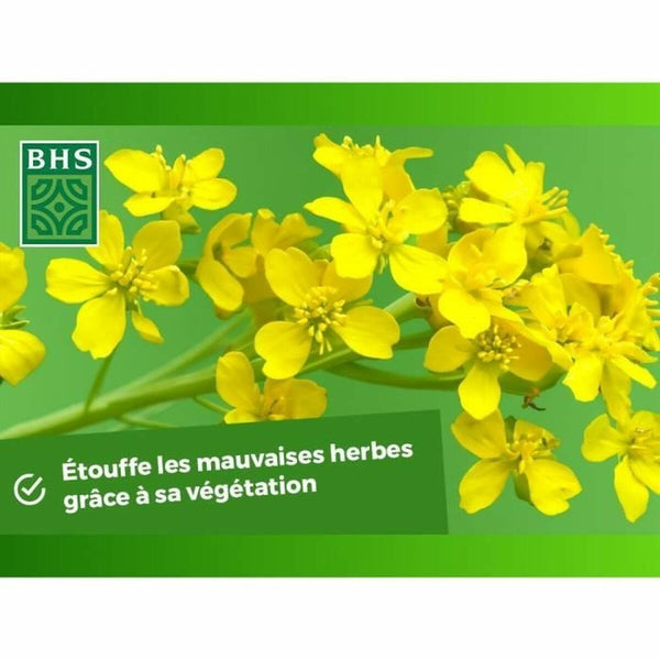 Pflanzendünger BHS 500 g