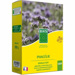 Samen BHS Phacélie 500 g