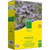 Samen BHS Phacélie 500 g