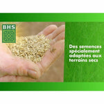 Samen BHS 3 Kg