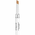Korrekturstift Payot Stylo 2-En-1 Anti-Imperfections