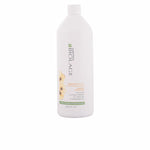 Glättendes Shampoo Biolage Smoothproof Matrix