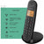 Kabelloses Telefon Logicom ILOA 150 SOLO Grau