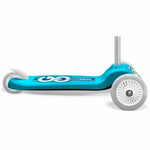 Roller Stamp SKIDS CONTROL