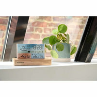 Radio Thomson WOOD Braun