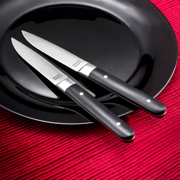 Steakmesser-Set Amefa Fusion zweifarbig Metall 12 Stück 22 x 1,8 x 1,2 cm