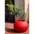 Blumentopf Riviera D40 Bold Rot Granit Ø 40 cm