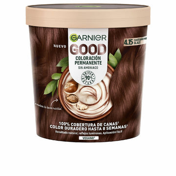 Dauerfärbung Garnier Good Glacé Kastanie Nº 4.15 Nº 4.15 Castano Glace 217 ml (1 Stück)