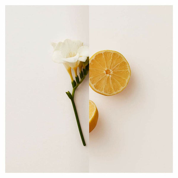 Damenparfüm Burberry My Burberry EDP