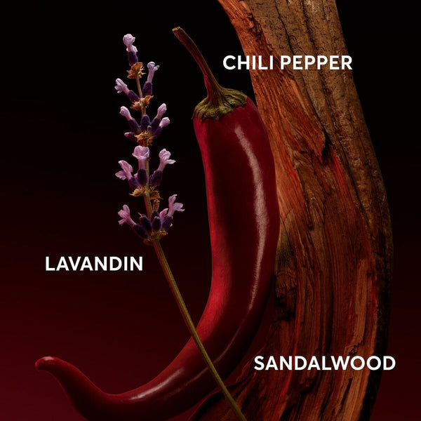 Herrenparfüm BOSS THE SCENT FOR HIM ELIXIR EDP 50 ml