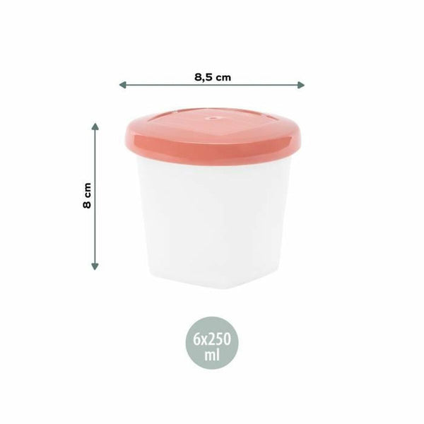 Lunchbox-Set Babymoov A004318 Weiß Bunt 250 ml (6 Stück)