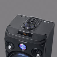Lautsprecher Muse M-1935 DJ Schwarz