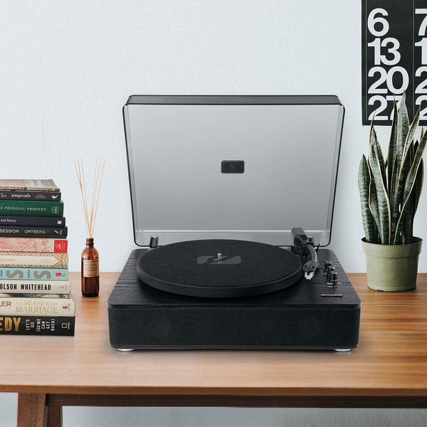 Tragbare Bluetooth-Lautsprecher Muse MT-106WB