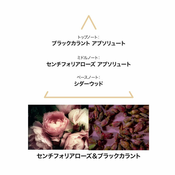 Damenparfüm Le Couvent des Minimes EDP