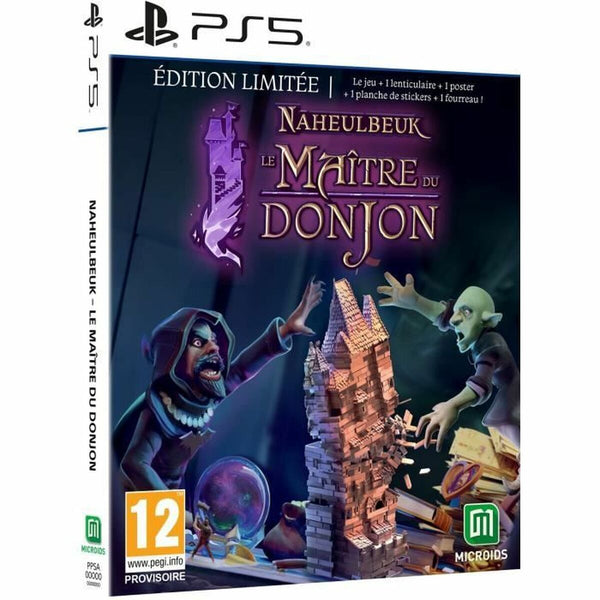 PlayStation 5 Videospiel Microids Naheulbeuk : Le Maitre Du Donjon