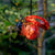 Leuchtende Dekoration Galix Marienkäfer