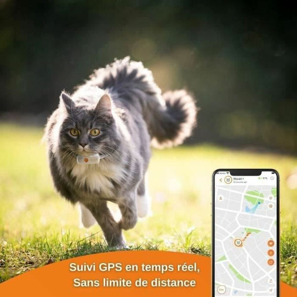 Anti-Diebstahl-Suchgerät Weenect Weenect XS GPS Katze Weiß