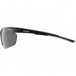 Herrensonnenbrille Alpina DEFEY HR